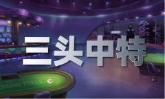 澳门材料免费大全手机版